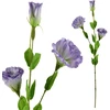 Mondex Since 1986 VIRIDIS Kwiat sztuczny Eustoma 70cm gumowany
