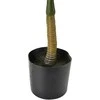 Mondex Since 1986 VIRIDIS Dirbtinė gėlė palmė žema 13x12x57cm vazone