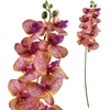 Mondex Since 1986 VIRIDIS žiedinė orchidėjos šakelė 90 cm