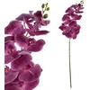 Mondex Since 1986 VIRIDIS žiedinė orchidėjos šakelė 90 cm