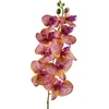 Mondex Since 1986 VIRIDIS žiedinė orchidėjos šakelė 90 cm