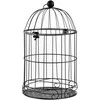 Mondex Since 1986R MARLISE Dekoratyvinis narvas, ilgis 30x30x54 cm