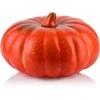 Mondex Since 1986R MAVE Figura Dynia 18x12,5cm AW25