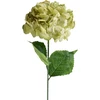 Przydasie Mondex Since 1986R VIRIDIS Dirbtinė gėlė HYDRENSION 73cm