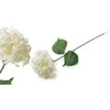 Przydasie Mondex Since 1986R VIRIDIS Dirbtinė gėlė HYDRENSION 73cm