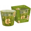 Mondex Świeca zapachowa w szkle FLORAL GARDEN115g LUMINOUS Žalias