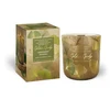 Mondex Świeca zapachowa w szkle GOLDEN GINKO150g GREENERY SHADES