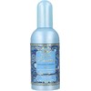 Tesori D'Oriente Tesori d´Oriente Thalasso Therapy EDP parfumuotas vanduo moterims, 100 ml