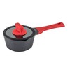 ZWIEGER SAUGUS PUODAS SU DANČIU ALUMINIUMINIS NELIPAUS INDUKCINIS OBSIDIANAS 16cm 1,1 L