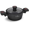 ZWIEGER Raudonas LINE Puodas 24 cm