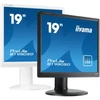 Monitorius iiyama ProLite B1980S-W1, 48.3 cm (19), kit, baltas