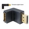 DELOCK Adapteris Displayport vyriškas > Displayport moteriška kampu žemyn