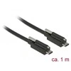 Delock Cable SuperSpeed USB 10 Gbps (USB 3.1 Gen 2) USB tipas
