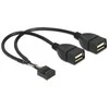 „Delock“ USB kabelio kaiščio antraštė, lizdas > 2 x A tipo USB 2.0 lizdas, 20 cm