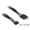Delock USB 9 pin - USB 9 pin, 0,12m, Juoda (41977)