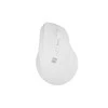 NATEC Crake 2 pelė Universal dešinei rankai RF belaidė + Bluetooth Optinė 2400 DPI