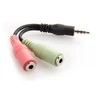 DELOCK Adapteris cable Klinke 3.5 mm 4 Pin St > 2 x Klinke 3.5 mm 3 Pin Bu