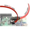 Delock SATA - SATA, 0,5 m, raudona (83835)