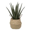 Atmosphera Aloe Dirbtinis alavijo augalas krepšelyje, 37 cm
