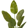 Dirbtinis bananų medis LORA, 140 cm