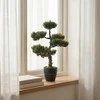 Art-Pol Dirbtinis bonsai medelis vazone, 32 x 32 x 50 cm