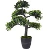 Dirbtinis bonsai medelis vazone, 32 x 32 x 50 cm