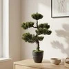 Art-Pol Dirbtinis bonsai medelis vazone, 32 x 32 x 50 cm