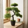 Dirbtinis bonsai medelis vazone, 32 x 32 x 50 cm