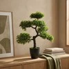 Dirbtinis bonsai medelis vazone, 32 x 32 x 50 cm