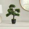 Dirbtinis bonsai medelis vazone, 32 x 32 x 50 cm