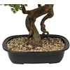 Artificial Bonsai medžio POLIN, juodas ceramic pot, 72 x 36 x 86 cm