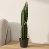 Dirbtinis kaktusas vazone PIKKA, 68 cm