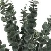 ProGarden Nežinomas Dirbtinis augalas eukaliptas Atmosphera, žalia, 500 mm