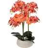 Atmosphera Dirbtinė gėlė vazone, orchidėja SANAE, 65 cm