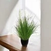 Atmosphera Dirbtinė žolė juodame puode, 70 cm