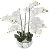 Dirbtinė orchidėja, 65 cm, cemento-marmuro vazonas