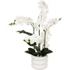 Atmosphera Dirbtinė orchidėja MICK keraminiame vazone, 80 cm