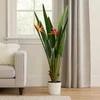 Home Styling Collection Artificial plant in a beige pot ORNO, Ø 65 x 120cm