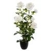 Atmosphera Dirbtinis augalas vazone BUSH Roses, 74 cm, baltas