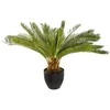 Atmosphera Dirbtinis augalas vazone PALMA CYKAS, stulpas, 72 cm