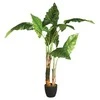 Atmosphera Dirbtinis augalas vazone BANANOWIEC, 132 cm
