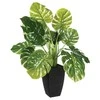 Atmosphera Atmosfera Dirbtinis augalas MONSTERA, 70 cm