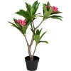 Kaemingk Dirbtinis vazoninis frangipani medis, 50 x 90 cm