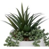 Atmosphera Dirbtinis augalas vazone, senecio, 25 cm