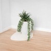 Atmosphera Dirbtinis augalas vazone, senecio, 25 cm