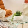 Atmosphera Dirbtiniai sukulentai keraminiame vazone su marmuriniu raštu, aukštis 18 cm.