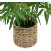 Bamboo Dirbtinis bambuko augalas 100 cm