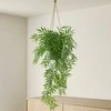Atmosphera Kabantis bambukas vazone LIORA, 67 cm