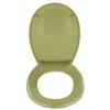 BERGAMO toilet seat, color žalias universal, WENKO