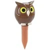 Maximex Ceramic flower watering can 1600 ml, owl
